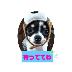 [LINEスタンプ] Pスタイル5
