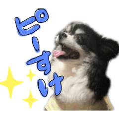 [LINEスタンプ] ぴーちゃんだよよろしくねん