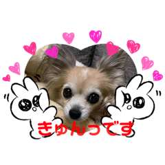 [LINEスタンプ] Moca's STAMP byWatchi
