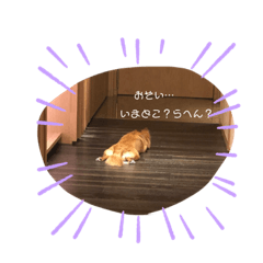 [LINEスタンプ] 八田家ボスの日常