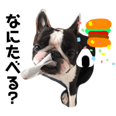 [LINEスタンプ] ドッグトーク