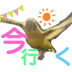 [LINEスタンプ] あやばなな