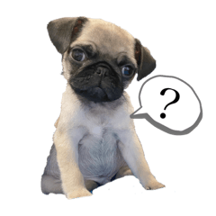 [LINEスタンプ] 仁です！！