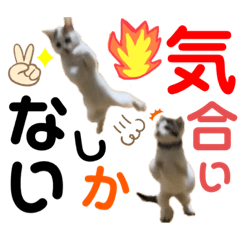 [LINEスタンプ] ひじき＆がんも2