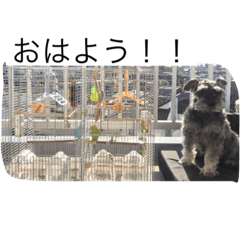 [LINEスタンプ] 若林家の可愛い子たち