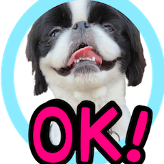 [LINEスタンプ] 狆の日常