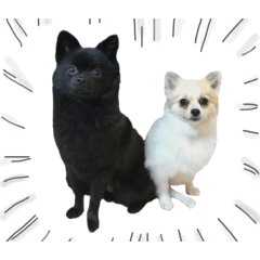 [LINEスタンプ] ぽっちゃん＆ベアちゃん