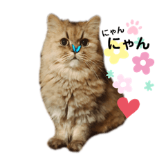 [LINEスタンプ] もこもこつー