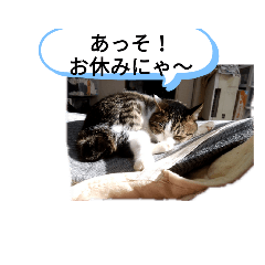 [LINEスタンプ] なんと…なく