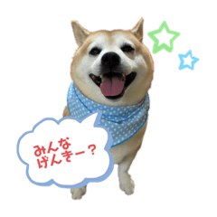 [LINEスタンプ] コタローさんの独り言