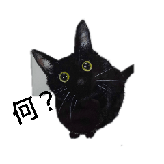 [LINEスタンプ] 鬼才の画家