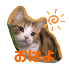 [LINEスタンプ] レモンだにょ！