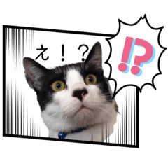 [LINEスタンプ] ミルクココアバニラ乗せ