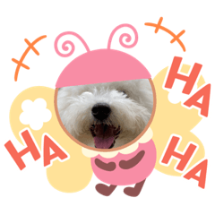 [LINEスタンプ] 犬王国 3