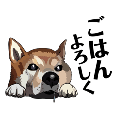 [LINEスタンプ] 愛犬オタンプ