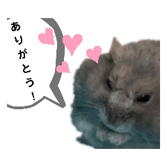 [LINEスタンプ] はむ ありがとう！！