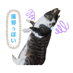 [LINEスタンプ] にゃんこのララスタンプ3