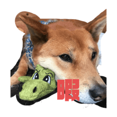 [LINEスタンプ] ごるわん