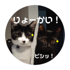 [LINEスタンプ] ハク＆ルカスタンプ