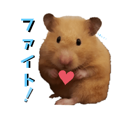 [LINEスタンプ] キンクマのポンちゃん2