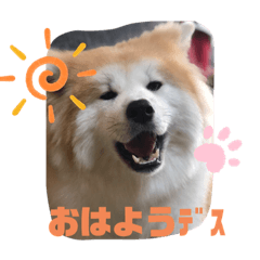 [LINEスタンプ] うちの子あんず
