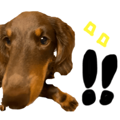 [LINEスタンプ] ぼくのまいにち らいのすけ