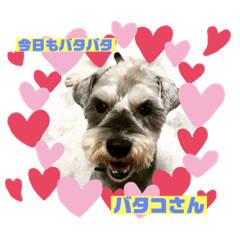 [LINEスタンプ] ベりーとしゅなまる2
