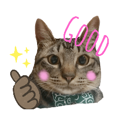 [LINEスタンプ] しまたにえん