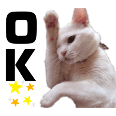 [LINEスタンプ] くろばちゃん