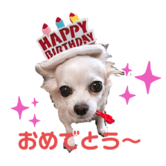 [LINEスタンプ] ユメの毎日スタンプ