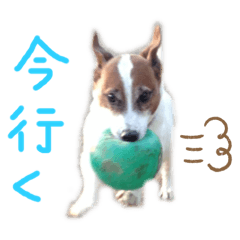 [LINEスタンプ] 村田ラッシー