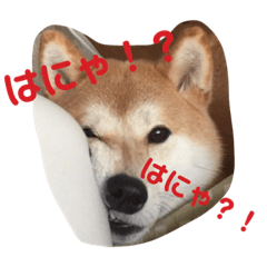 [LINEスタンプ] わたしが使いたいだけのスタンプ2020(改)