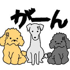 [LINEスタンプ] 愛犬のまなざしの画像（メイン）