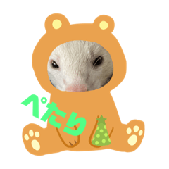[LINEスタンプ] 我が家のフェレットちゃん