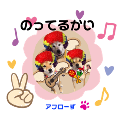 [LINEスタンプ] ゆずるオンリーワン3