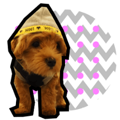 [LINEスタンプ] 犬敬語スタンプ