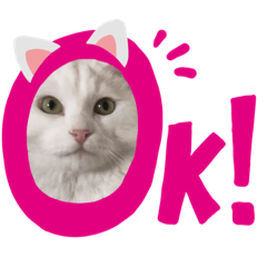 [LINEスタンプ] 猫のべにちゃん②