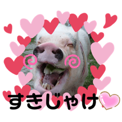 [LINEスタンプ] 広島弁キャサリン