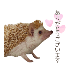 [LINEスタンプ] もぐらとひぐま