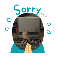 [LINEスタンプ] あんの日常生活