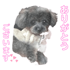 [LINEスタンプ] るなモカスタンプ