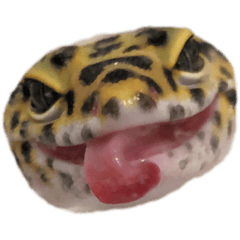 [LINEスタンプ] ヒョウモントカゲモドキのつぶ
