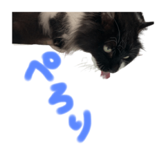 [LINEスタンプ] あらしにゃん！
