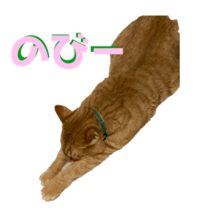 [LINEスタンプ] MOKO  ITO