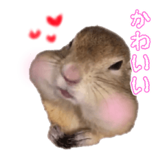 [LINEスタンプ] リチャードソンジリスのベルきゅん
