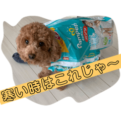 [LINEスタンプ] プードルのくちぐせ