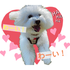 [LINEスタンプ] うちのまるちゃんスタンプ♬