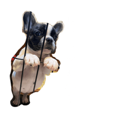 [LINEスタンプ] BUBU0922