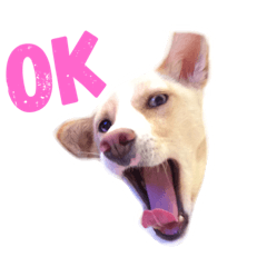 [LINEスタンプ] ぺっぺと青子 2