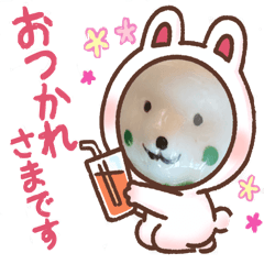 [LINEスタンプ] 可愛い日常のあいさつ
